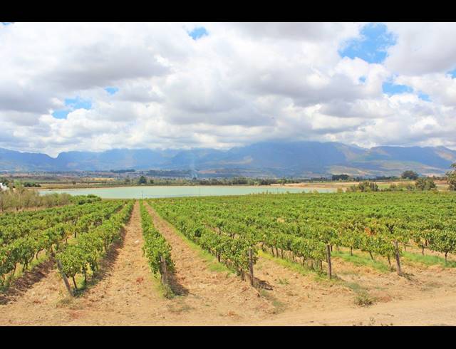 M² FARM FOR SALE IN PAARL NORTH